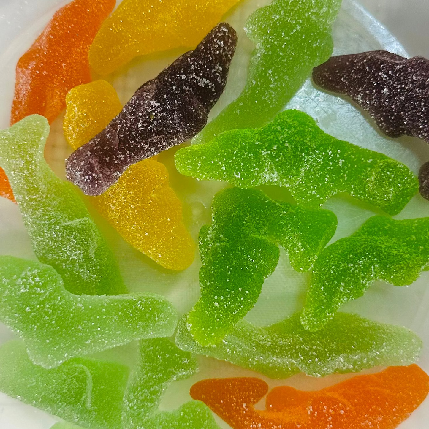 Sugared Rainbow Shark Gummy