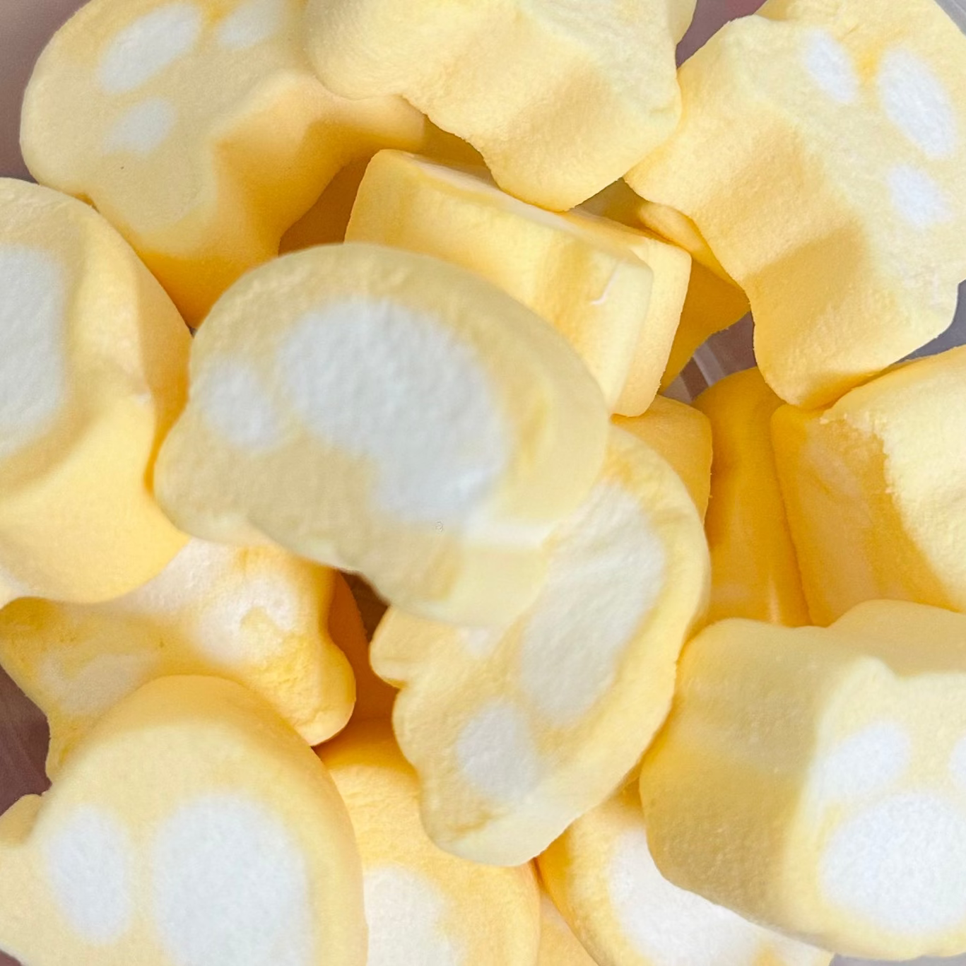 Mango Teddy Bear Marshmallow