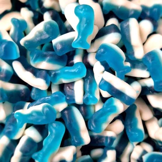 Mini Dolphins Gummy
