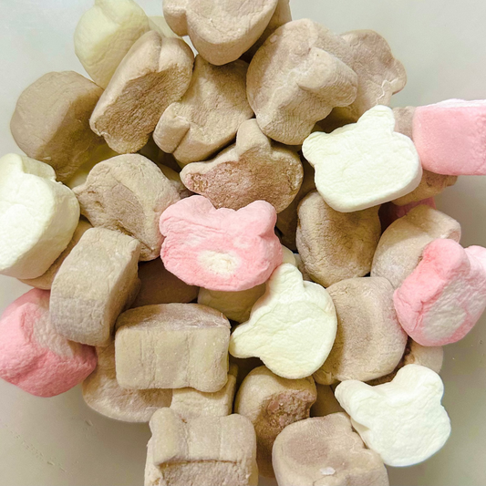Neapolitaine Teddy Bear Marshmallow