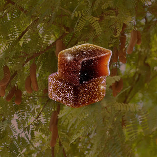 Tamarind Gummy